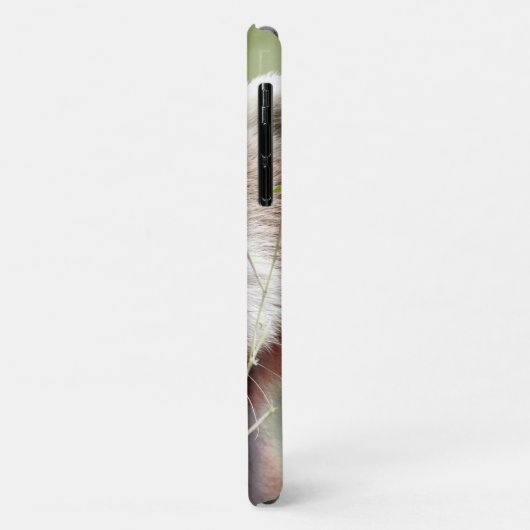 Hoesje Foto: rode panda, panda roux, dieren. (Achterkant/links)