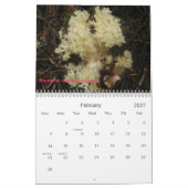 Hoesje, Fungi van het noordwesten. Kalender (Feb 2027)