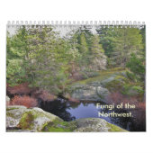 Hoesje, Fungi van het noordwesten. Kalender (Hoes)