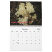 Hoesje, Fungi van het noordwesten. Kalender (Feb 2026)