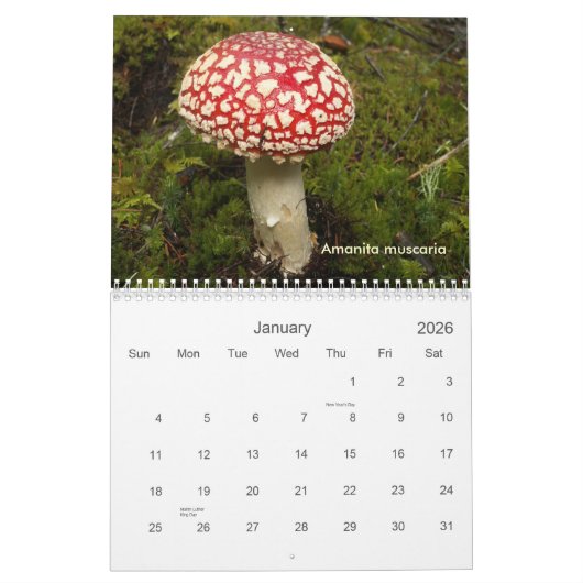 Hoesje, Fungi van het noordwesten. Kalender (Jan 2026)