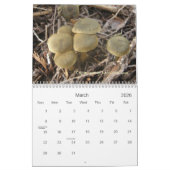 Hoesje, Fungi van het noordwesten. Kalender (Mar 2026)