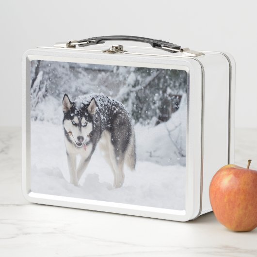 Hoesje in de sneeuw (In situ)