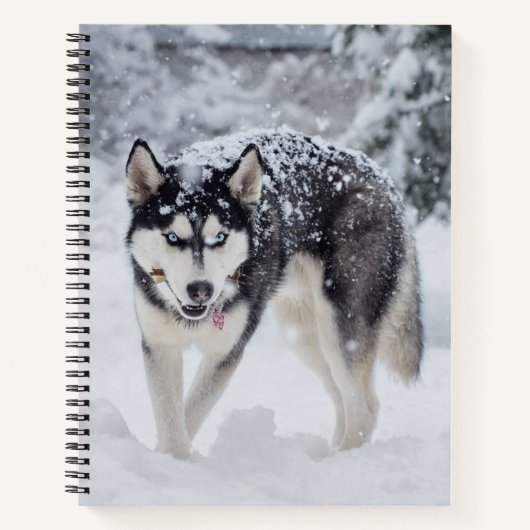 Hoesje in de sneeuw notitieboek (Voorkant)