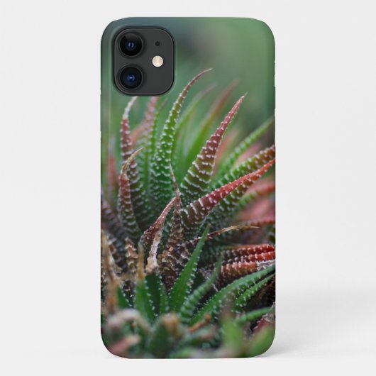Hoesje-Mate Barely daar Apple iPhone 11 Hoesje (Achterkant)