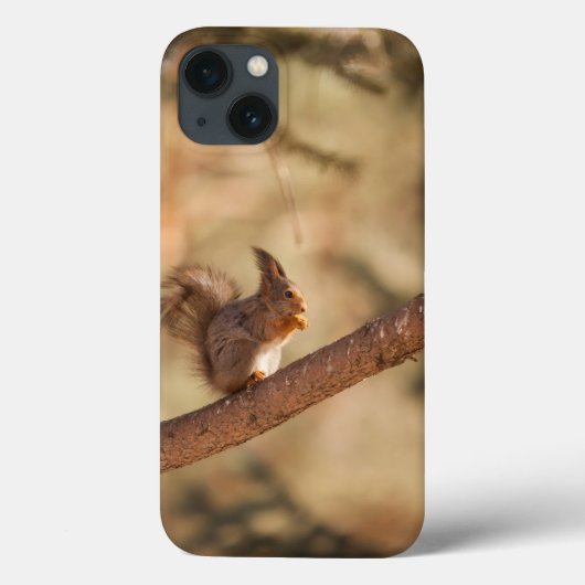 Hoesje-Mate Barely daar Apple iPhone 13 Hoesje (Achterkant)