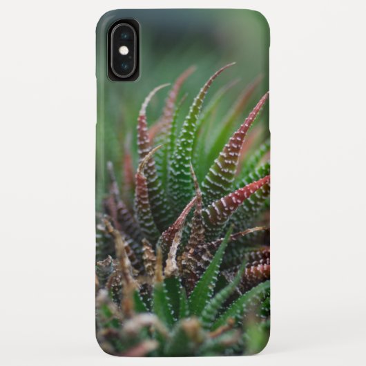 Hoesje-Mate Barely daar Apple iPhone XS Max Hoesje (Achterkant)