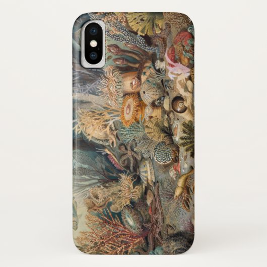 Hoesje-Mate Barely daar iPhone X Hoesje (Achterkant)