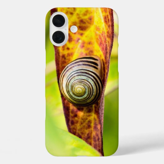 hoesje-Mate iPhone-case voor stille beslaglegging Case-Mate iPhone Case (Achterkant)