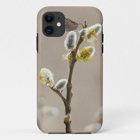 Hoesje-Mate Tough Apple iPhone 11 Case-Mate iPhone Case (Achterkant)