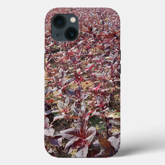 Hoesje-Mate Tough Apple iPhone 13 Hoesje (Achterkant)