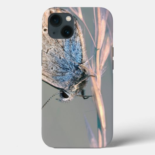 Hoesje-Mate Tough Apple iPhone 13 Hoesje (Achterkant)