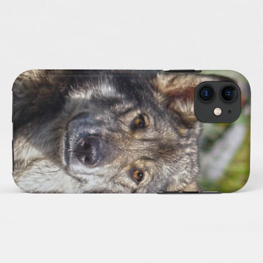 Hoesje Shepherd Alsatian Pet Dog (Achterkant (horizontaal))