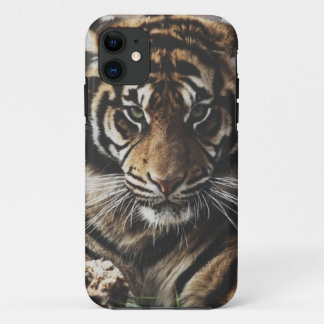 Hoesje Tiger