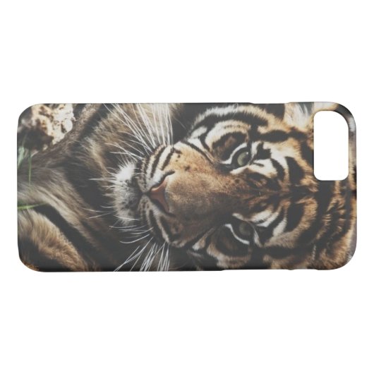 Hoesje Tiger (Achterkant (Horizontaal))