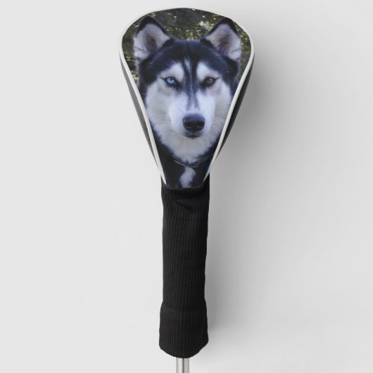 Hoesje van Siberian Husky Golf Club Golfheadcover (Voorkant)