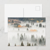 Hoesjes bergbos in Dawn Ground Fog Briefkaart (Voorkant / Achterkant)