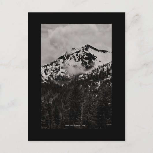 Hoesjes Briefkaart (Voorkant)