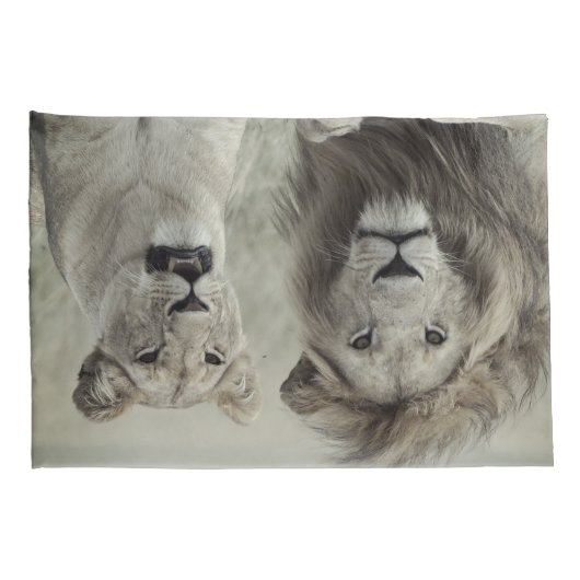 Hoesjes met een leeuwenklooier (standaard- of koni kussensloop (Achterkant-Rechts)