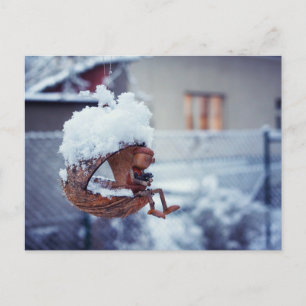 Hoestvogels in de adel briefkaart