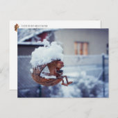 Hoestvogels in de adel briefkaart (Voorkant / Achterkant)