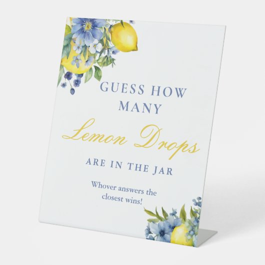 Hoeveel Citroenen Drops Vrijgezellenfeest Game Sig Reclamebord Met Voetstuk (Voorkant)