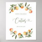 Hoeveel delen bevinden zich in het Poster van de p (Voorkant)