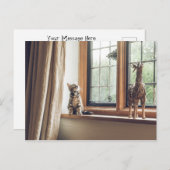 Hoeveel is dat Kat in het raam? Briefkaart (Voorkant / Achterkant)