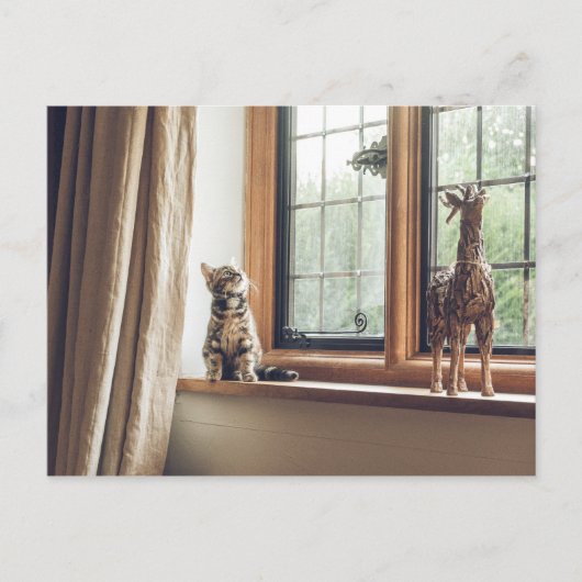 Hoeveel is dat Kat in het raam? Briefkaart (Voorkant)