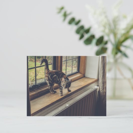 Hoeveel is dat Kat in het raam? Briefkaart (Staand voorkant)