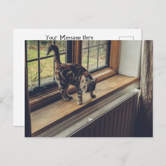 Hoeveel is dat Kat in het raam? Briefkaart (Voorkant / Achterkant)