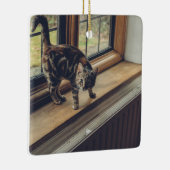 Hoeveel is dat Kat in het raam? Keramisch Ornament (Rechts)