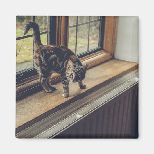 Hoeveel is dat Kat in het raam? Magneet (Voorkant)