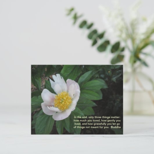 Hoeveel je van Briefkaart hield (Staand voorkant)