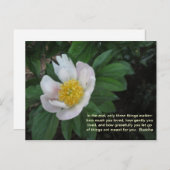 Hoeveel je van Briefkaart hield (Voorkant / Achterkant)