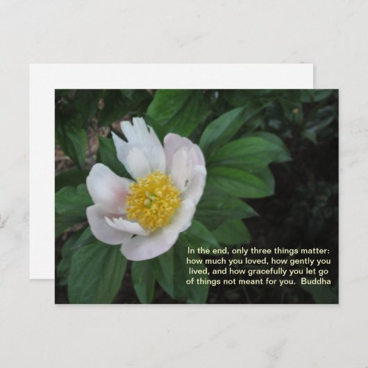 Hoeveel je van Briefkaart hield (Voorkant / Achterkant)