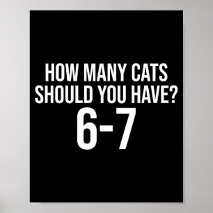 Hoeveel katten moet je hebben 6-7 Grappig 67 Meme Poster