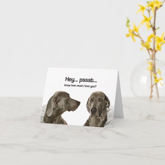Hoeveel Liefde van I weet u? (Weimaraner) Kaart (Gele Bloem)