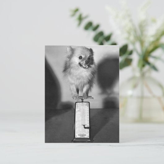 Hoeveel trek ik? briefkaart (Staand voorkant)