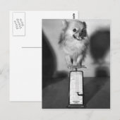 Hoeveel trek ik? briefkaart (Voorkant / Achterkant)