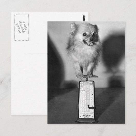 Hoeveel trek ik? briefkaart (Voorkant / Achterkant)