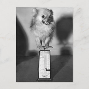 Hoeveel trek ik? briefkaart