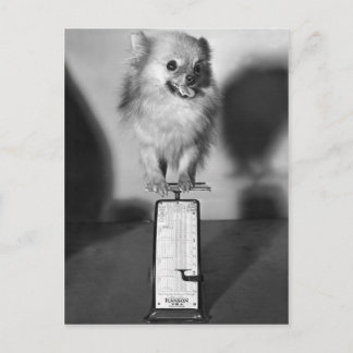 Hoeveel trek ik? briefkaart