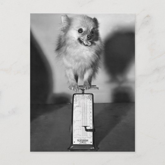 Hoeveel trek ik? briefkaart (Voorkant)