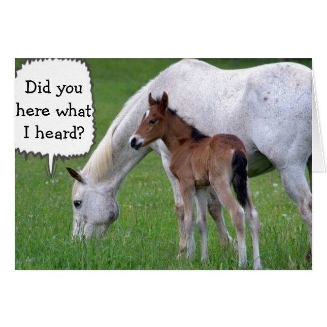 HOEWEL JE NIET "30" KUNT ZIJN ZEGT PONY EN HORSE (Voorkant Horizontaal)