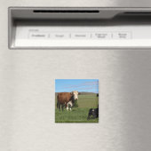 Hoewel Koeien en honden afkomstig zijn van verschi Magneet (Insitu (Vaatwasser))