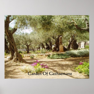 Hof van Gethsemane Christendom Posters