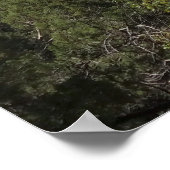 Hof van Patriarchen II in het Nationaal Park Zion Poster (Hoek)