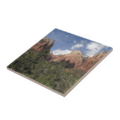 Hof van Patriarchen II in het Nationaal Park Zion Tegeltje (Zijkant)