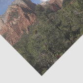 Hof van Patriarchen II in het Nationaal Park Zion Tissuepapier (Detail)